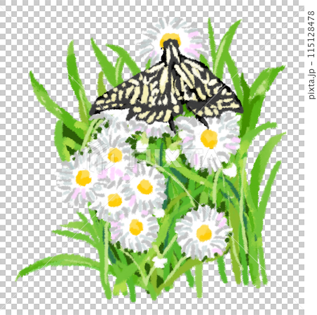 燕尾蝶用 Halcyon 吸吮花蜜 115128478