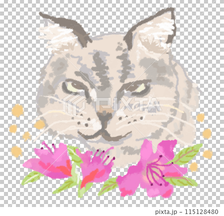 深粉紅色杜鵑花和貓 115128480