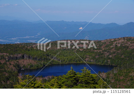 長野県小海町にある高見石から見る白駒池の風景 115128561