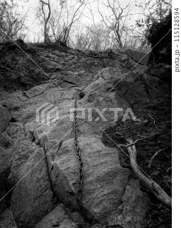 登山道の崖を登る 登山道の崖を登る 115128594
