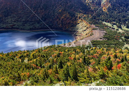 吾妻連峰・家形山から見る紅葉の五色沼 吾妻連峰・家形山から見る紅葉の五色沼 115128686