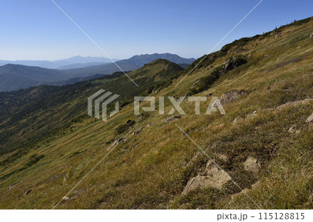 至仏山登山、尾瀬、群馬県 至仏山登山、尾瀬、群馬県 115128815