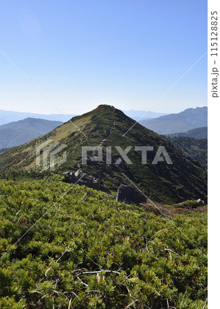 至仏山登山、尾瀬、群馬県 115128825