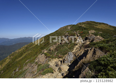 至仏山登山、尾瀬、群馬県 至仏山登山、尾瀬、群馬県 115128982