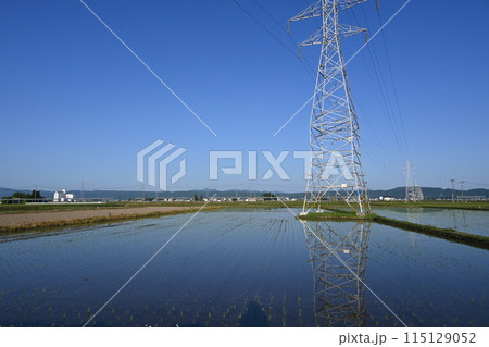 水田に映る鉄塔 115129052