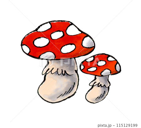 ベニテングタケ 毒キノコ 115129199