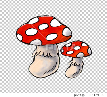 ベニテングタケ 毒キノコ 115129199