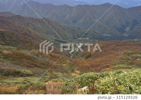 巻機山、登山、新潟県 115129326