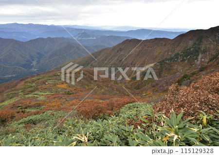 巻機山、登山、新潟県 115129328