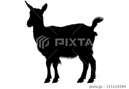 Black Alpine Goat Silhouette, Alpine ibex silhouette illustration Black Alpine Goat Silhouette, Alpine ibex silhouette illustration 115129394