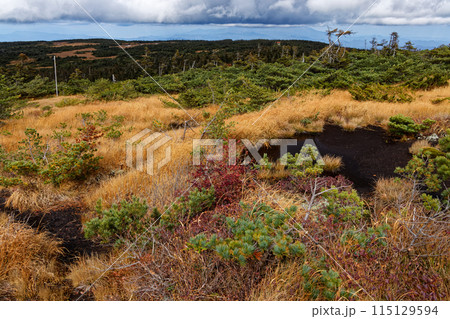 吾妻連峰縦走路から見る弥兵衛平 115129594