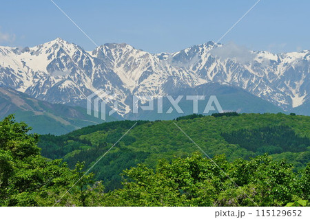 春の白馬村国道406号から望む新緑と残雪の白馬三山(白馬鑓ヶ岳・杓子岳・白馬岳) 春の白馬村国道406号から望む新緑と残雪の白馬三山(白馬鑓ヶ岳・杓子岳・白馬岳) 115129652