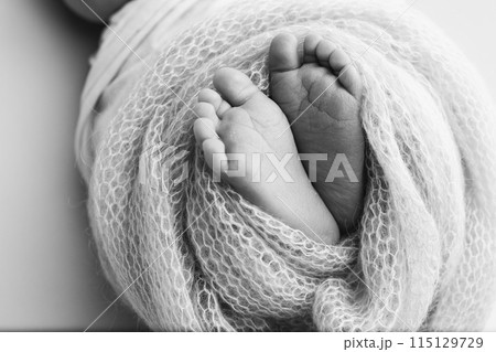 The tiny foot of a newborn baby. Soft feet of a new born in a wool blanket. Close up of toes, heels and feet of a newborn. Black and white Macro photography. 115129729