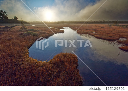 朝日差す吾妻連峰・弥兵衛平の湿原と明星湖 115129891