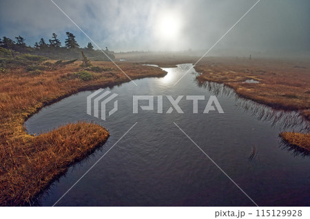 朝日差す吾妻連峰・弥兵衛平の湿原と明星湖 115129928