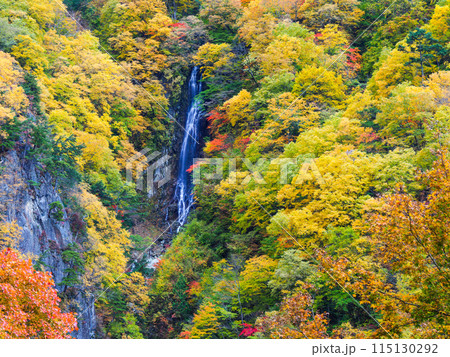 紅葉の八滝 115130292