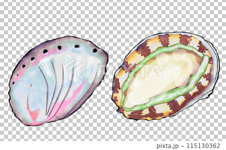abalone 115130362