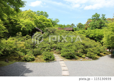 京都 大河内山荘庭園の新緑 京都 大河内山荘庭園の新緑 115130939