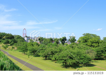 東京都・東大和市・狭山自然公園 115131019