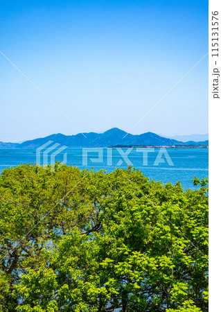 【びわ湖風景】琵琶湖大橋からのマリンブルーの眺め 【びわ湖風景】琵琶湖大橋からのマリンブルーの眺め 115131576