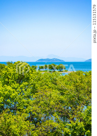 【びわ湖風景】琵琶湖大橋からのマリンブルーの眺め 115131579