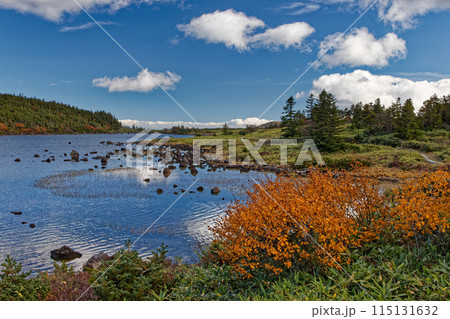 紅葉の吾妻連峰・鎌沼の風景 115131632