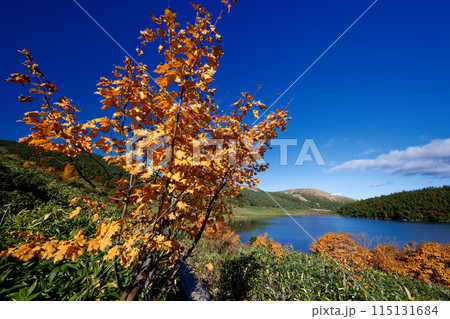 紅葉の吾妻連峰・鎌沼と一切経山 紅葉の吾妻連峰・鎌沼と一切経山 115131684