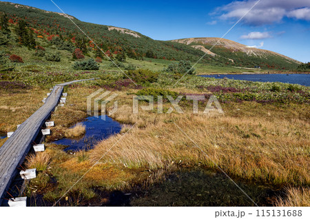 紅葉の吾妻連峰・鎌沼と一切経山 紅葉の吾妻連峰・鎌沼と一切経山 115131688
