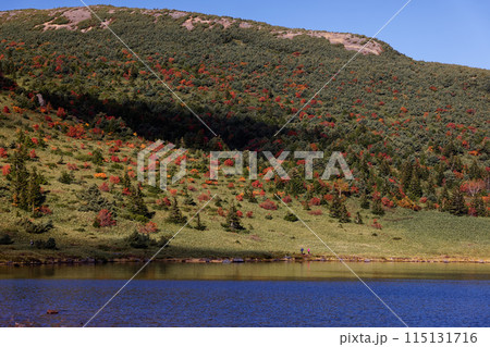 紅葉の吾妻連峰・鎌沼湖畔を行く登山者 115131716