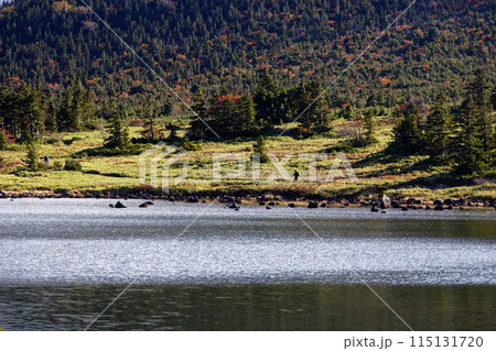紅葉の吾妻連峰・鎌沼湖畔を行く登山者 115131720