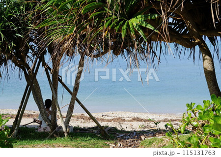 木陰のある浜辺 木陰のある浜辺 115131763