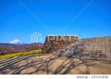 春の神奈川県中郡二宮町の吾妻山公園展望台と西側の眺望(富士山,矢倉岳など) 春の神奈川県中郡二宮町の吾妻山公園展望台と西側の眺望(富士山,矢倉岳など) 115131826