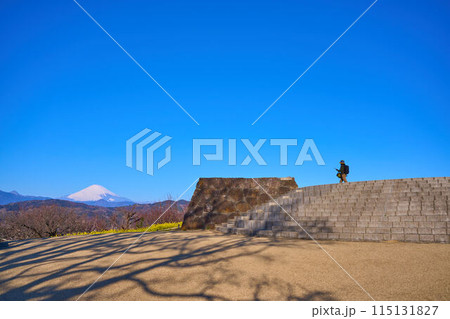 春の神奈川県中郡二宮町の吾妻山公園展望台と西側の眺望(富士山,矢倉岳など) 115131827