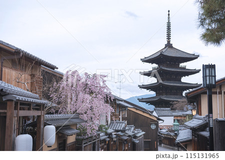 春の京都東山区 春の京都東山区 115131965