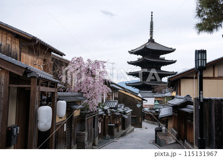 春の京都東山区 115131967