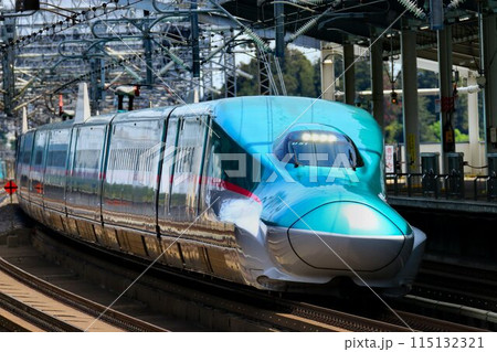 陸奥路を駆け抜けるE5系新幹線　東北新幹線・那須塩原駅にて 115132321
