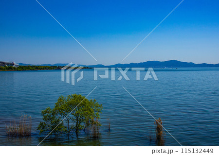 【びわ湖風景】琵琶湖大橋からのマリンブルーの眺め 【びわ湖風景】琵琶湖大橋からのマリンブルーの眺め 115132449