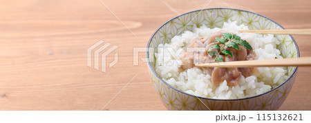 熱々のご飯にのせたイカの塩辛 115132621