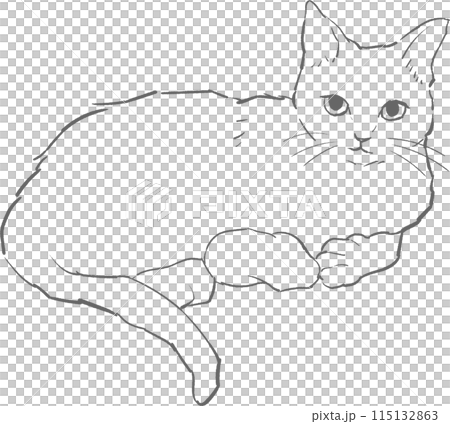 躺著的貓的單色線畫插圖 躺著的貓的單色線畫插圖 115132863