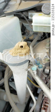 こんな所に！　車のボンネットを開けると、ドロバチの巣があった 115133124