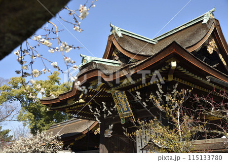 早春の北野天満宮 三光門【重要文化財】 早春の北野天満宮 三光門【重要文化財】 115133780