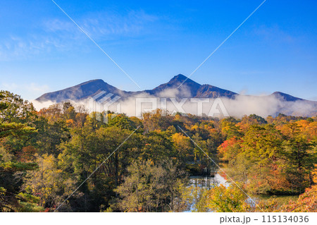 紅葉の裏磐梯、紅葉した木々と青空 紅葉の裏磐梯、紅葉した木々と青空 115134036