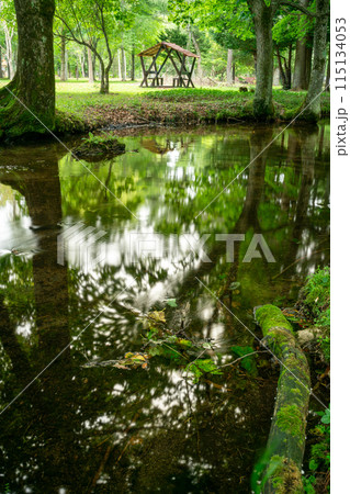 川沿いのベンチ 川沿いのベンチ 115134053