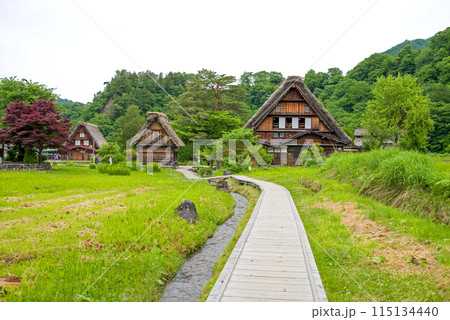 世界遺産 白川郷 合掌造り集落 初夏シーズン 和田家 世界遺産 白川郷 合掌造り集落 初夏シーズン 和田家 115134440