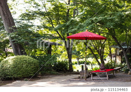 埼玉県さいたま市　染谷花しょうぶ園 115134463