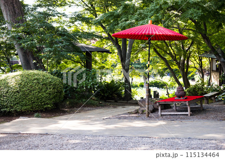 埼玉県さいたま市　染谷花しょうぶ園 115134464