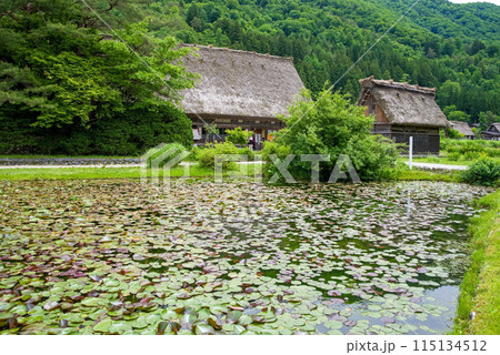 世界遺産 白川郷 合掌造り集落 初夏シーズン 和田家 世界遺産 白川郷 合掌造り集落 初夏シーズン 和田家 115134512
