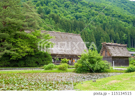 世界遺産　白川郷　合掌造り集落　初夏シーズン　和田家 115134515