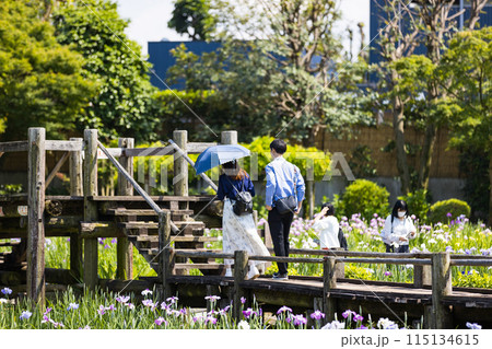 埼玉県さいたま市 染谷花しょうぶ園 埼玉県さいたま市 染谷花しょうぶ園 115134615