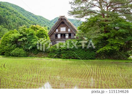 世界遺産　白川郷　合掌造り集落　初夏シーズン　和田家 115134626